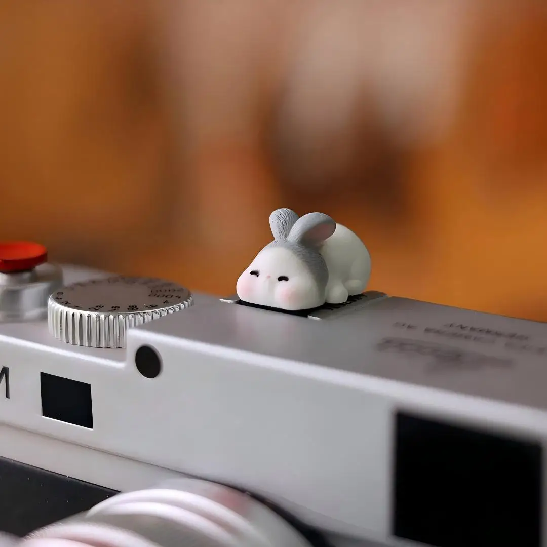 Grappige Hot Shoe Cover Univer - Sony Camera Zv-E10 recensie en prijs