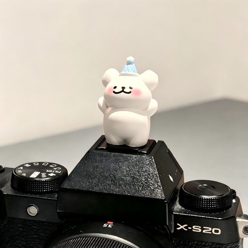 Leuke beren-camerahoes voor de - Sony Camera Zv-E10 recensie en prijs