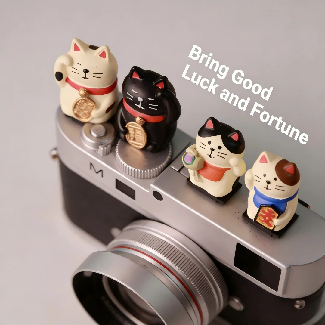 Cartoon Lucky Cat Hot Shoe Cov - Sony Camera Zv-E10 recensie en prijs